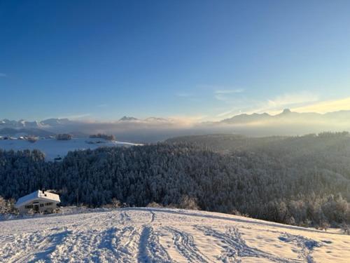 A környék, Swiss Alps in Herbligen