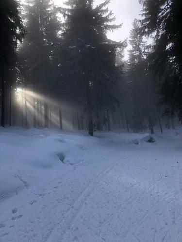 Horská chata Poustka Horská chata Poustka