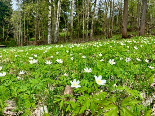 Horská chata Poustka Horská chata Poustka