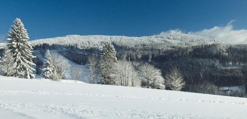 Horská chata Poustka Horská chata Poustka