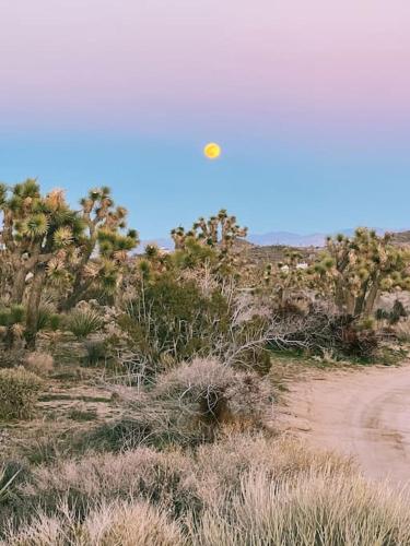 Desert Star Home in Yucca Valley, USA
