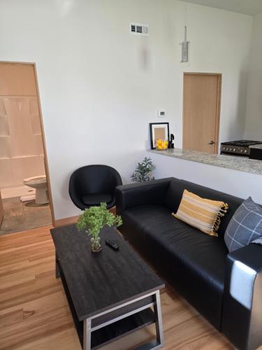 Guesthouse near St. Louis Bazilika Katedrális