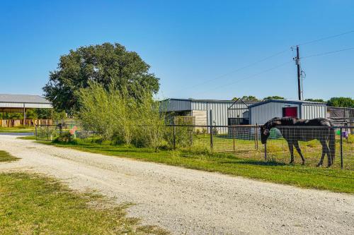 Dog-Friendly Guest House on Horse Ranch in Azle! in Azle, USA
