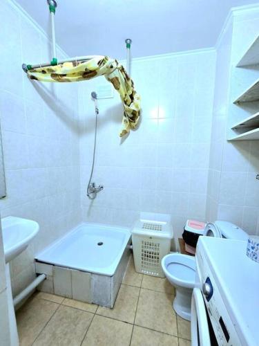 Астана аэропорт студия, Prigorodnyy (foto 5)