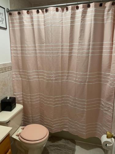 Luxurious 3 bedrooms APT with Master 2 bathrooms in Locust Manor, USA