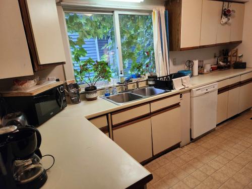Cozy 3 Bedroom House in Downtown Ithaca in Centru oraș Ithaca