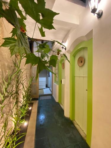 정원, Casa Coco Verde Paraty in 파라티