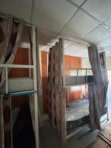 Pakchong hostel & wildlife tour 3
