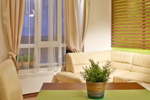 Apartment with Mountain View