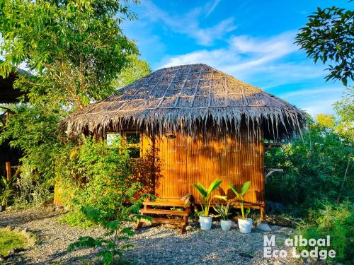 Moalboal Eco Lodge Room Type - Deluxe Bungalow