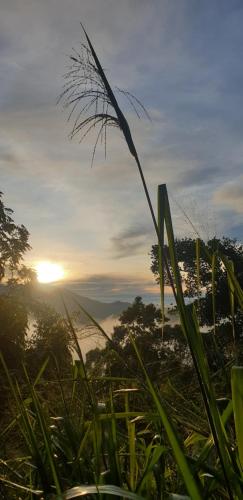 Himansa Homestay - Tap to explore photos