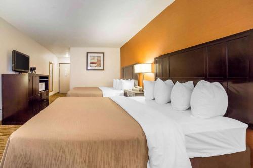 Quality Inn - image 6