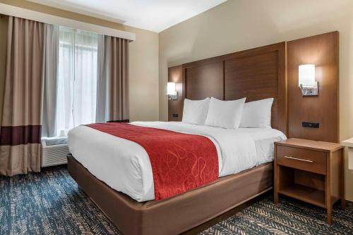 Comfort Inn & Suites Downtown near University - image 12