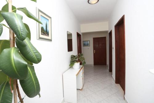 Three-Bedroom Apartment image 10