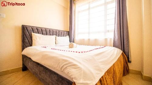 COSY 1Br 43' SMART TV COSY 1Br 43' SMART TV