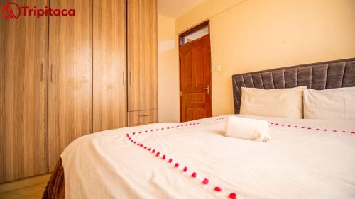 COSY 1Br 43' SMART TV COSY 1Br 43' SMART TV