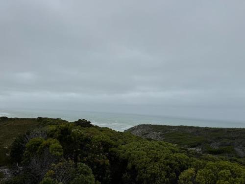 Protea32, Agulhas (foto 10)