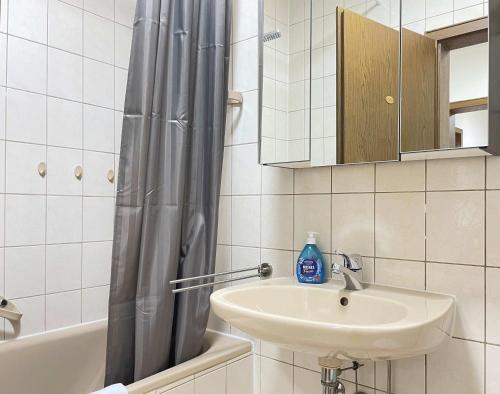 SAD161 - Gut geschnittene Monteurwohnung mit Balkon, Schwandorf in Bayern (photo 10)