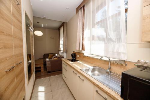Apartamenty Silva Szklarska Poręba, Szklarska Poręba (foto 11)