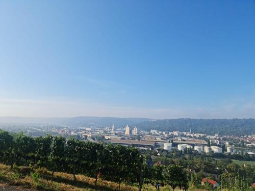 Gästehaus Schniepp, Stuttgart (photo 9)