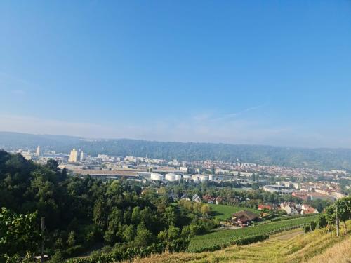 Gästehaus Schniepp (Gastehaus Schniepp) in Untertürkheim