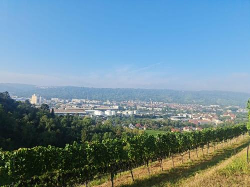 Gästehaus Schniepp (Gastehaus Schniepp) in Untertürkheim