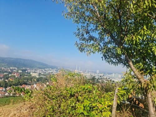 Gästehaus Schniepp (Gastehaus Schniepp) in Untertürkheim