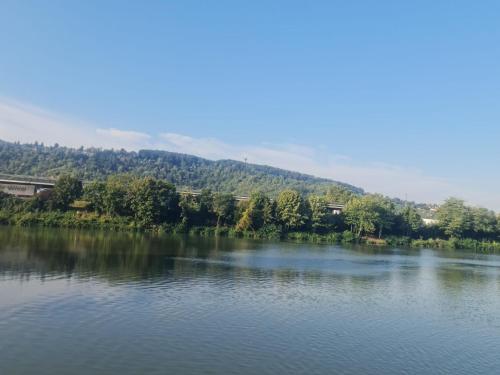 Gästehaus Schniepp (Gastehaus Schniepp) in Untertürkheim