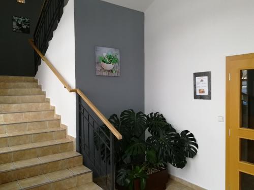 Vzdělávací Středisko a Hotel - image 6