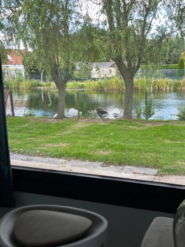 A környék, chaletje tis-ier-goed in Jabbeke