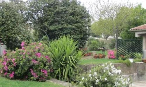 Spacious Villa in Carrazedo with Pool Spacious Villa in Carrazedo with Pool