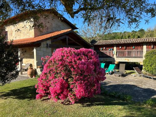 Spacious Villa in Carrazedo with Pool Spacious Villa in Carrazedo with Pool