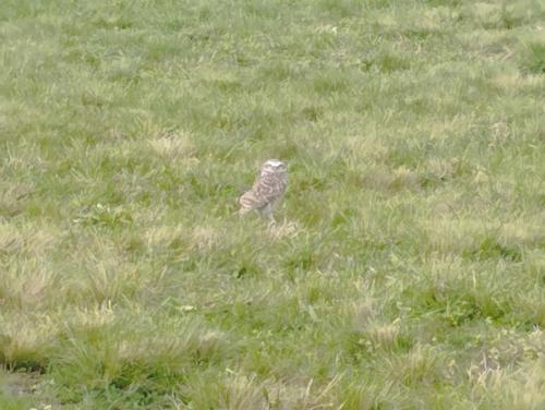 La cercania barrio privado