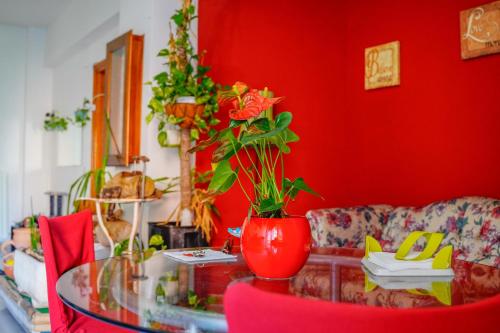 Bed & Breakfast LA TERRAZZA, Latina (foto 4)