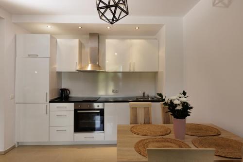 One-Bedroom Apartment image 4