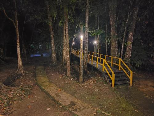 Borneo Jungle Adventure in Kota Kinabatangan