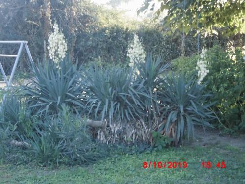 Le Mas du Chevalier de Poltret Le Mas du Chevalier de Poltret