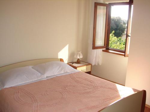 Apartments Dragan - Economy - image 10