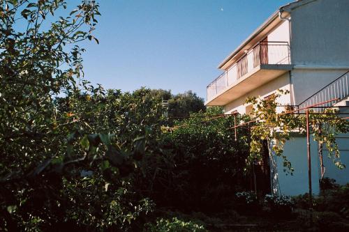 Apartments Dragan - Economy - image 4