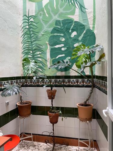 Casa Teo, Sevilla (Foto 7)