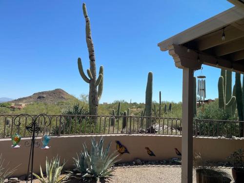 Tucson Mnt Foothills Saguaro Bliss near เกทส์ พาส