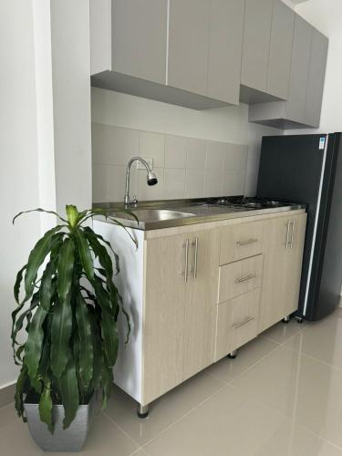 Kitchen, Apartamentos Cartagena Acuarium in Papayal