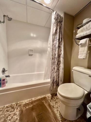 Lindell Motor Lodge - Downtown Cedar Falls Studio With Free Gated Parking! in Cedar Falls, USA