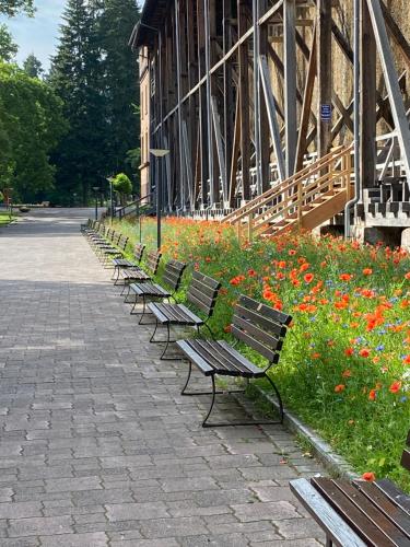 Atracciones, Ferienwohnung Villa Iris 1 in Bad Orb