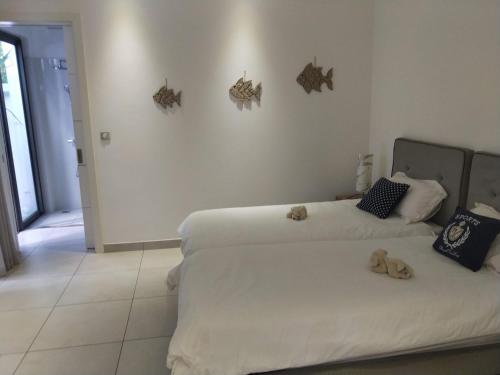 La Paisible de Palm Grove 2 La Paisible de Palm Grove 2