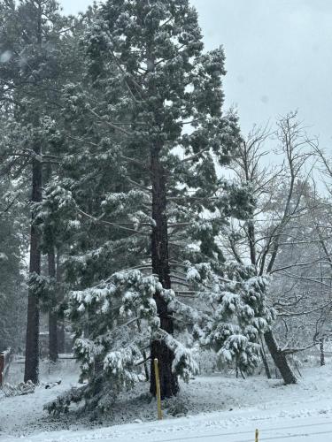 Shangri-La Mount Laguna Retreat in Mount Laguna, USA
