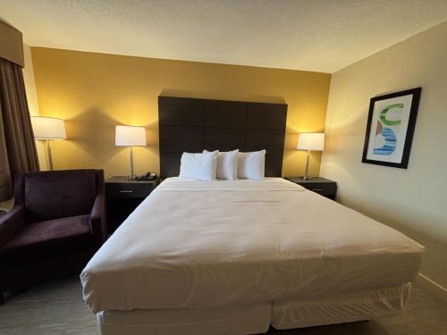 King Room - Disability Access - Non-Smoking