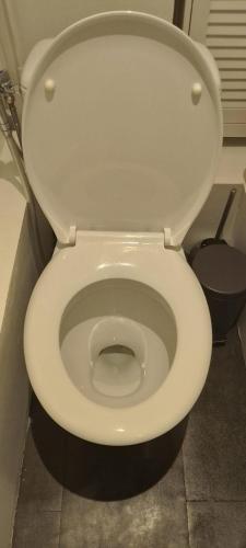 Apartment with a superb view on Eiffel Tower