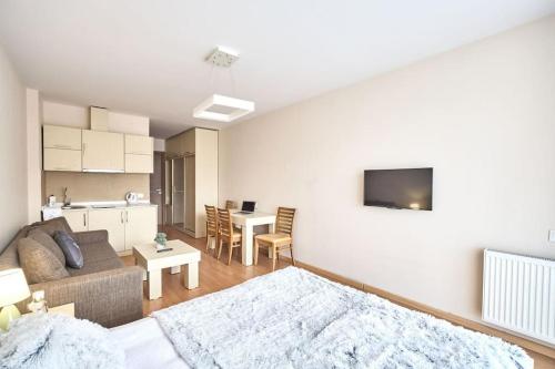 MaRKoS Flat in Block 2, New Gudauri, Gudauri (foto 8)