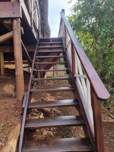 Eagle's Rest Eagle's Rest